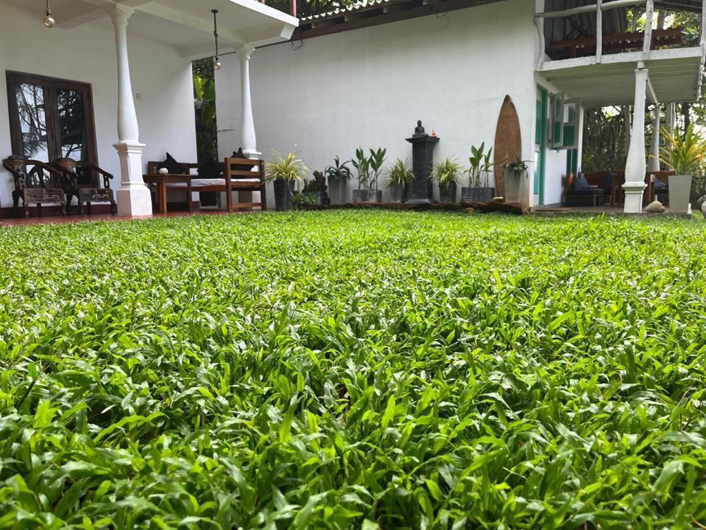 Beach House Kalukatiya - Family Villa, Seaview Room, Garden Room Dickwella Exterior photo